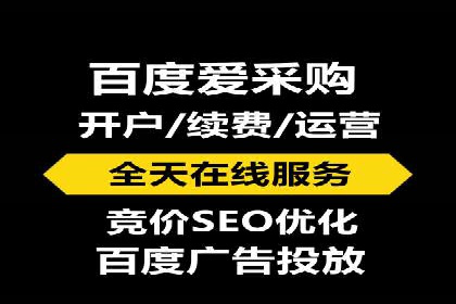 网络推广秘籍：竞价排名成功案例集锦